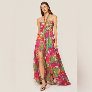 Ronny Kobo Collection Multicolor Maxi Dress